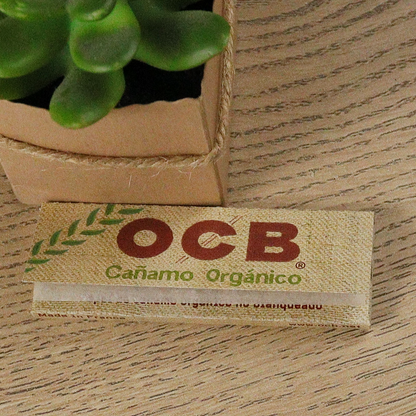 Papeles OCB Bamboo